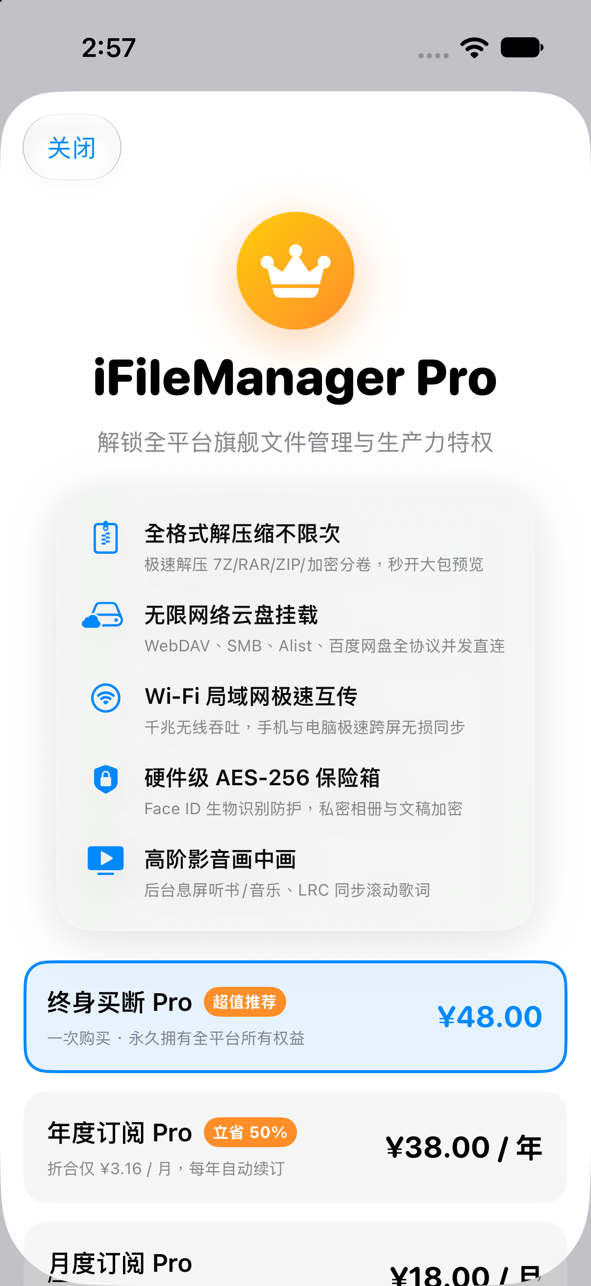 Pro 会员解锁与终身买断权益